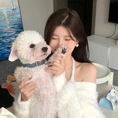 女黑侠木兰花粤语 海报