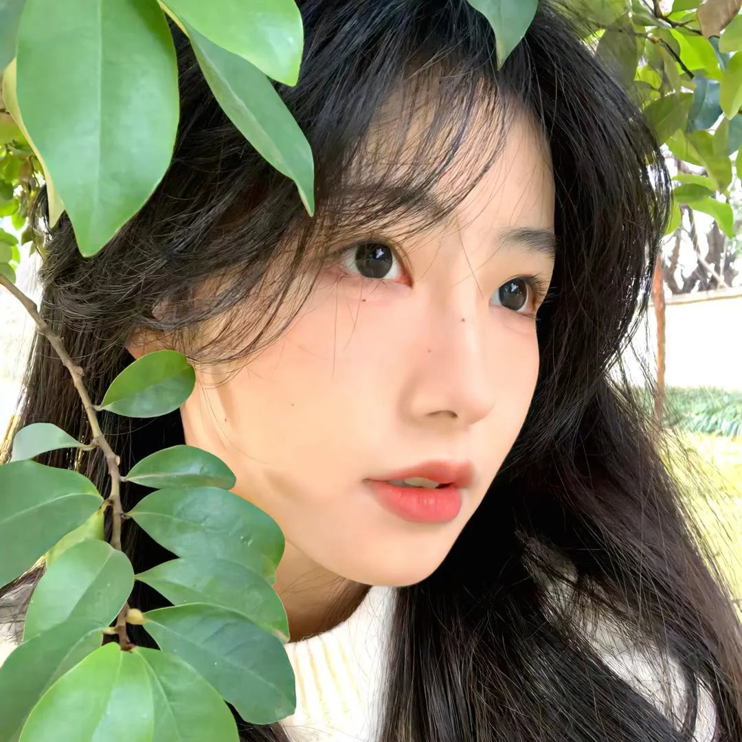 蝴蝶 海报