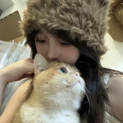 李响进城 海报